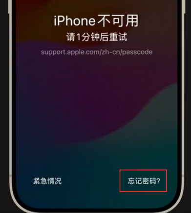 贵港苹果手机密码维修分享iPhone忘记了刚设置的密码 